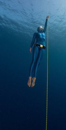 Freediverの写真素材