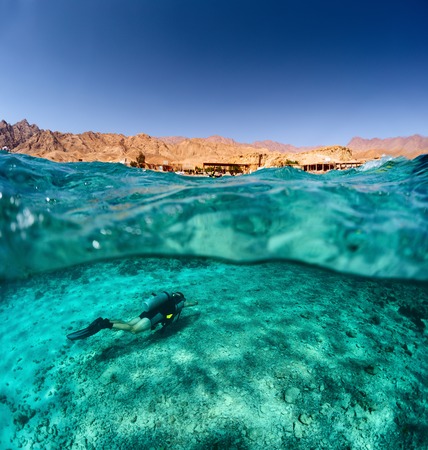 Split shot of the diver swimming underwater and desert coast of the South Sinai above the surface, Egyptの写真素材