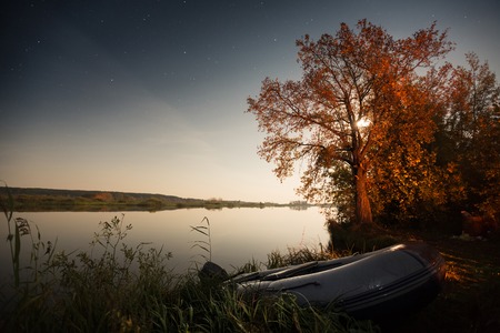 Autumn tree on the coast of the lake highlighted by moon and boat moored on the landの写真素材