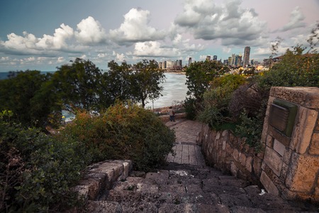 The city of Tel Aviv at twilight. Israel. Focus on treesの写真素材