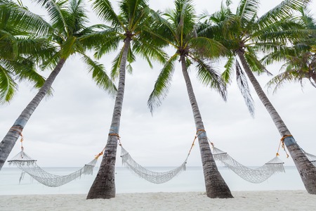 Hammocks set in the palm tree garden on the sea coastの写真素材