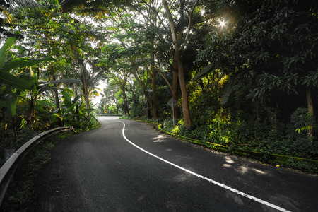 Asphalt curved road in the tropical forestの写真素材