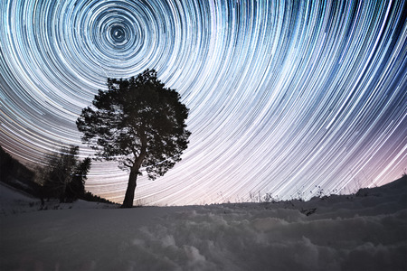 Star trails in a winter sky and pine tree in a snowy fieldの写真素材