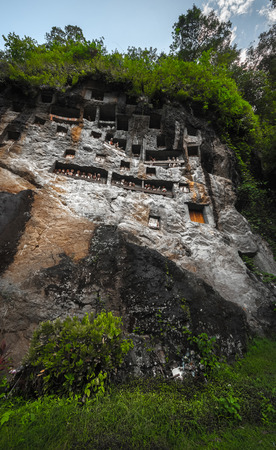 Tana Toraja's traditional cemetery in a rocky wall in a forest. Sulawesi island, Indonesiaの写真素材