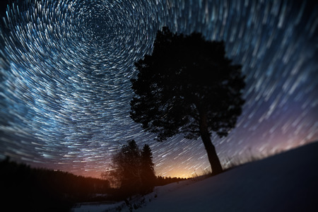 Star trails on a winter sky and pine tree in a snowy fieldの写真素材