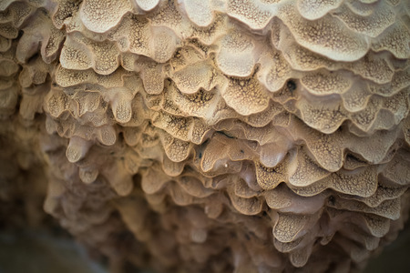 Limestone sediment on the riverの写真素材