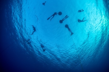 Underwater shot of freedivers relaxing near the buoysの写真素材
