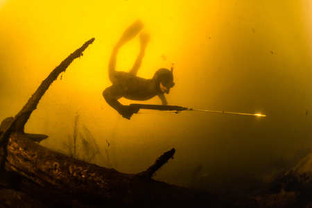 Underwater shot of the hunter with speargun in a lake with dirty yellow waterの写真素材