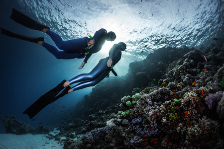 Two freedivers swimming underwater over vivid coral reef. Red Sea, Egyptの写真素材