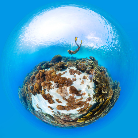 Panorama in the form of sphere of the lady freediver exploring the sea floor with corals