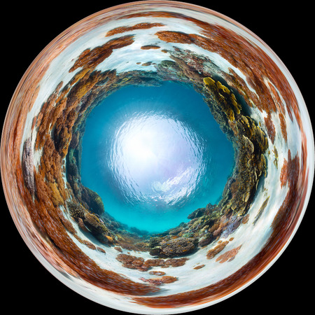 Panorama in the form of sphere of the sea floor with coralsの写真素材