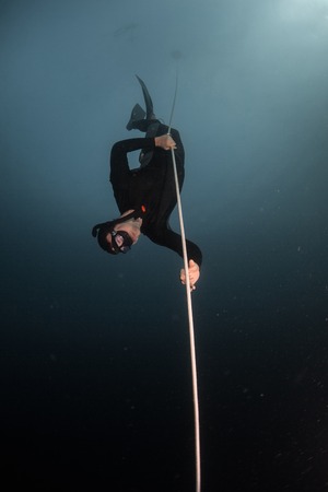 Free diver descending along the rope in the depthの写真素材