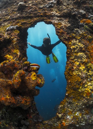 Free diver exploring the ship wreck in a tropical seaの写真素材