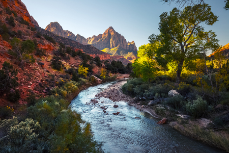 Small rivet it the Zion National Park at sunny day, USAの写真素材