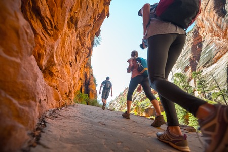 Hikers moving forward on the stone path in the Bryce canyon, USAの写真素材