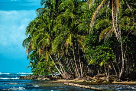 Caribbean coast of the country of Costa Ricaの写真素材