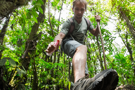 Hiker applying repellent on his leg in dense tropical forestの写真素材