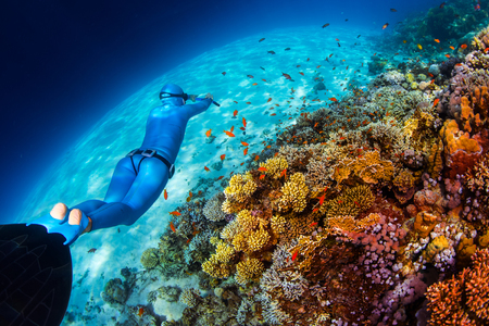 Woman freediver glides over vivid coral reef in a crystal clear tropical seaの写真素材