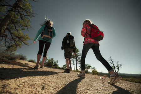 Group of hikers on the walkway at sunny dayの写真素材
