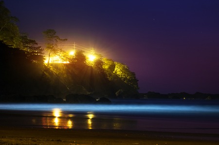 Night ocean and steep coast with highlighted treesの写真素材