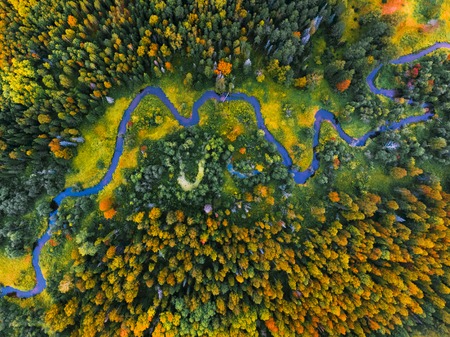 Aerial view of the autumn forest and small riverの写真素材