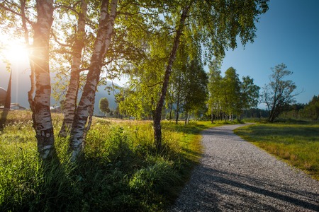 Walking way with green grass and trees on a coast of Alpine lake Seefeld, Austriaの写真素材