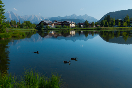Pond in Alps with clear still water surface and swimming ducks. Seefeld, Austriaの写真素材