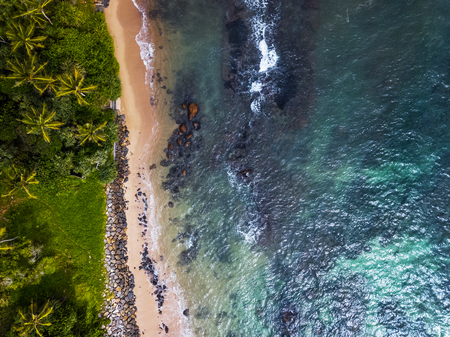 Aerial view of the sea coast with palm treesの写真素材