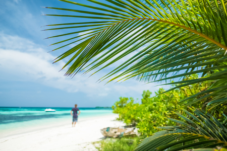 Man stands on the tropical beach. Focus on the palm tree leaf. Maldivesの写真素材