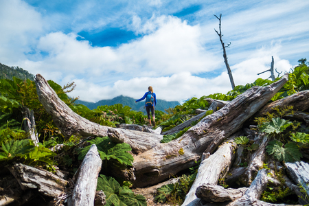 Woman hiker moves through difficult terrain with logs. Pumalin National Park, Chileの写真素材