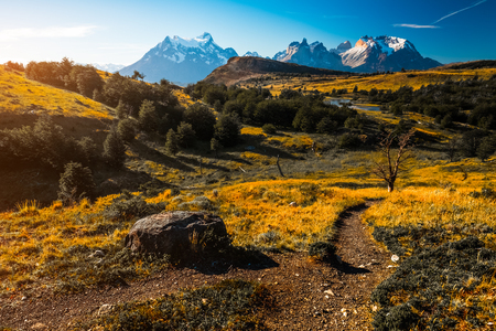 Mountains, yellow meadows and trail of Torres del Paine National Park, Chileの写真素材