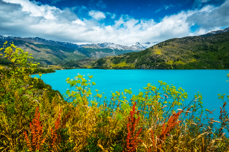 Lake with turquoise water and red flowers on the foreground. Lake named Lago Tranquilo situated in the valley of Exploradores, Chileの写真素材