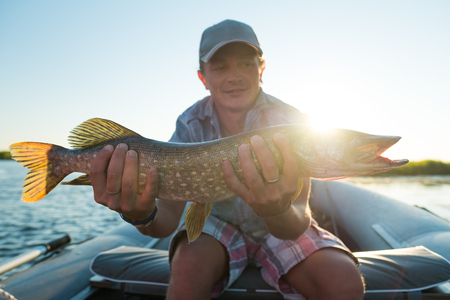 Young amateur angler holds the pike fish (Esox lucius)の写真素材