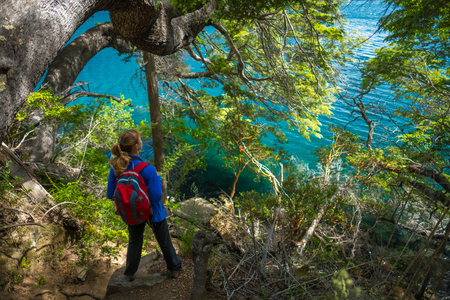 Hiker stands on the coast of a lake under the treeの写真素材