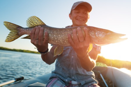 Happy amateur angler holds the pike fish (Esox lucius)の写真素材