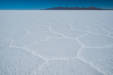 Salar de Uyuni salt flat with cell patterns during sunny day, Uyuni, Boliviaの写真素材