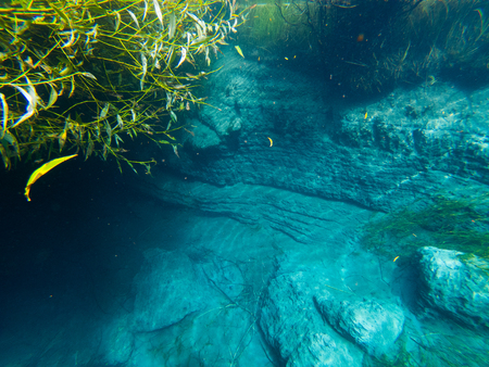 Underwater shot of the steep coast of the river of Cochrane, Patagonia, Chileの写真素材