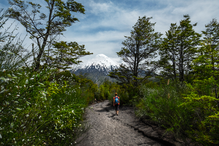 Woman walks on the hiking trail in a park with lush green trees and volcano of Osorno on the background. Patagonia, Chileの写真素材
