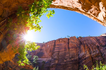 Steep and red walls of the Zion National Park, USAの写真素材