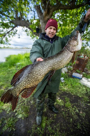 Amateur fisherman holds trophy 5.6 kg (12.3 lb) pike fish (Esox lucius)の写真素材