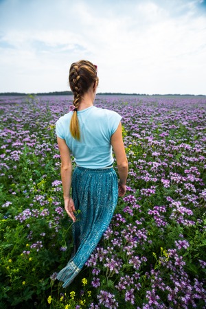 Woman in a dress walks on the summer meadow full of purple flowersの写真素材