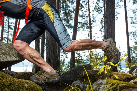 Muscled legs of the trail running athlete crossing rocky terrain in the forest
