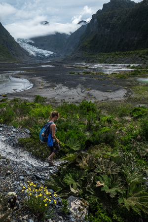 Woman hiker walks in the valley with lush vegetation and glacier on the horizonの写真素材