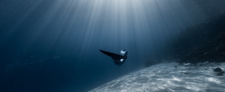 Woman freediver glides in the depth among the school of fish over the sandy bottom with sun rays shining through the waterの写真素材
