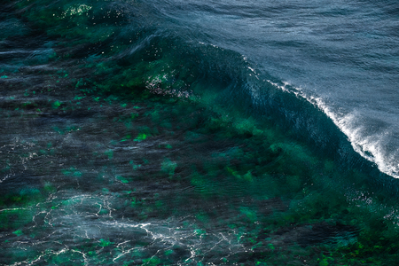 Crystal clear ocean wave curves before breaking on the shallow coral reef area. Maui, Hawaiiの写真素材