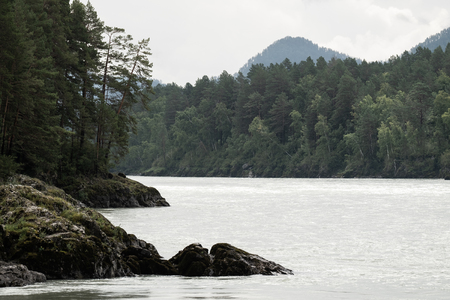 River of Katun at rainy summer day, Altai Republic, Russiaの写真素材