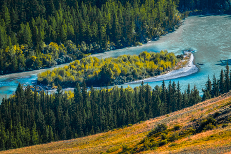 Island in the middle of the river. Altai Republic, Russiaの写真素材