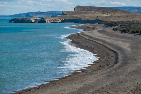 Coast of the Atlantic ocean with groups of penguins on it. Park Monte Leon, Argentinaの写真素材