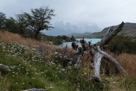 Torres del Paine National Park during the rainy weather with Cordillera Paine and Cuernos Towers barely visible on the horizon. Chilean Patagoniaの写真素材