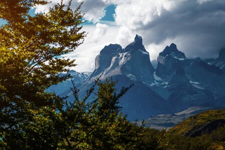 Torres del Paine National Park with snow capped mountains (Cordillera Paine) and green trees on the foreground. Chileの写真素材